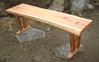 �P���L�ꖇ�̃x���`