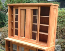 �P���L�̐H��I�i���J�j